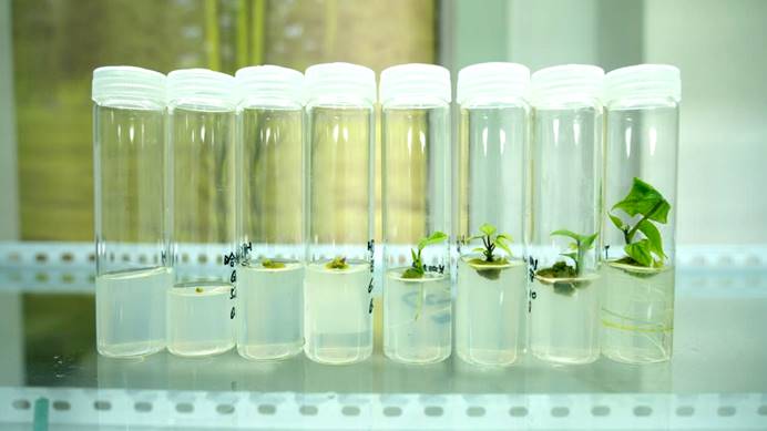 ��ҳ| PG������Ϸ�й����ٷ���վ