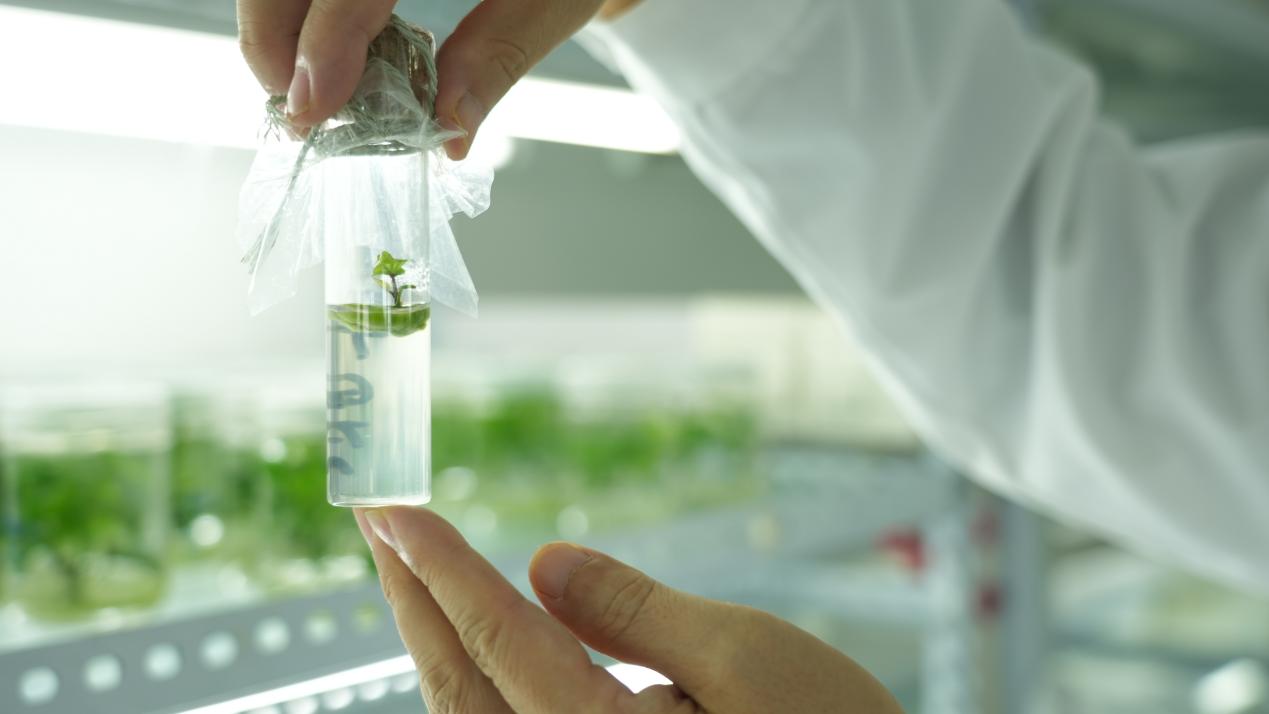 ��ҳ| PG������Ϸ�й����ٷ���վ