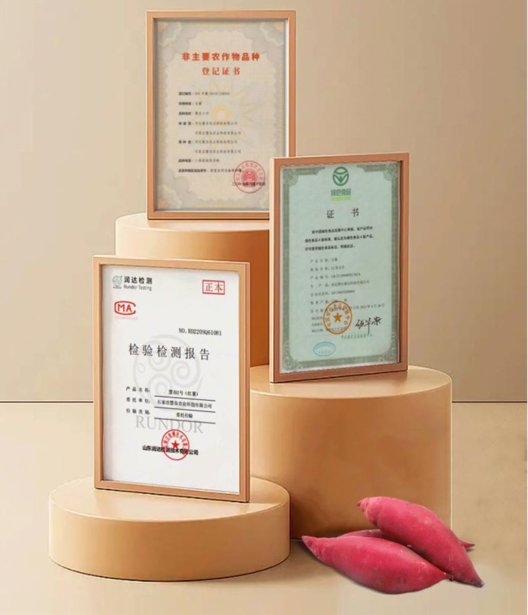 ��ҳ| PG������Ϸ�й����ٷ���վ