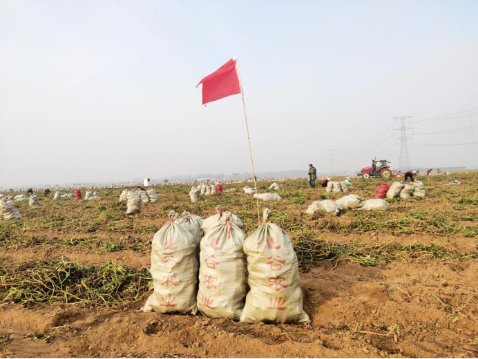 ��ҳ| PG������Ϸ�й����ٷ���վ