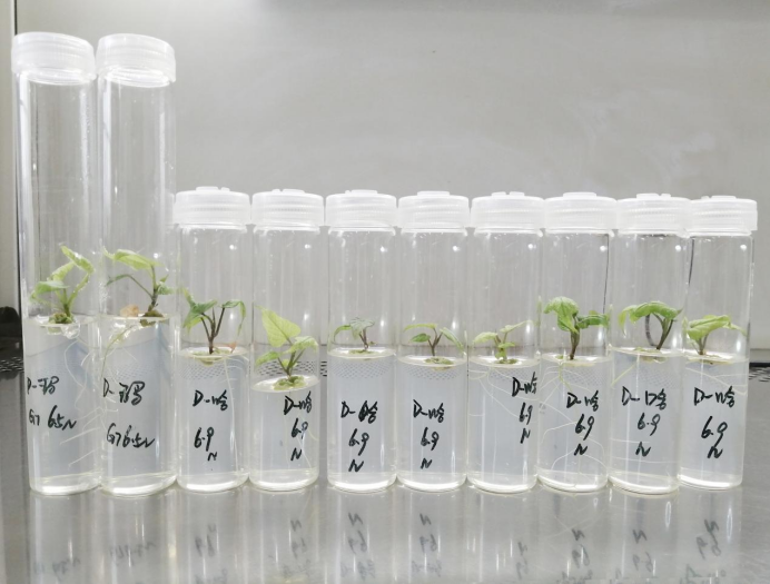 ��ҳ| PG������Ϸ�й����ٷ���վ