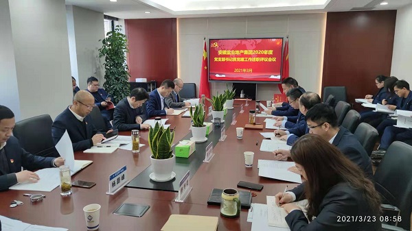 安徽尊龙人生就是博d8地产集团公司党委召开2020年度下层党支部书记抓党建事情述职评议会