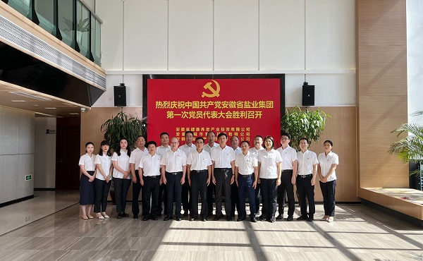 省康养公司等3家公司18名党代表喜迎省尊龙人生就是博d8集团第一次党代会召开