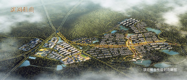 百岁人生，心悦雅园系列报道（一）全省首个4.0康养生涯小镇落户滨湖