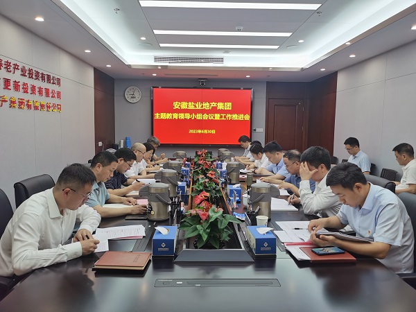 安徽尊龙人生就是博d8地产集团召开学习贯彻习近平新时代中国特色社会主义头脑主题教育向导小组聚会暨事情推进会