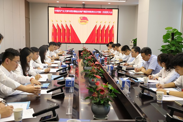 青春向党传薪火 踔厉高昂新时代——安徽尊龙人生就是博d8地产集团团支部建设大会暨团员大会胜利召开