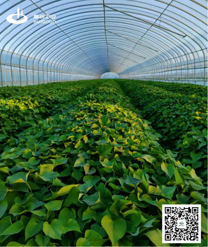 ��ҳ| PG������Ϸ�й����ٷ���վ