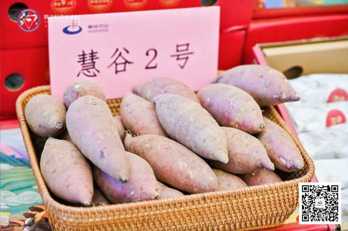 ��ҳ| PG������Ϸ�й����ٷ���վ