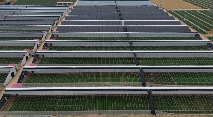 ��ҳ| PG������Ϸ�й����ٷ���վ