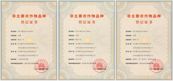 ��ҳ| PG������Ϸ�й����ٷ���վ