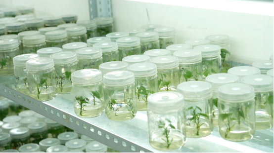 ��ҳ| PG������Ϸ�й����ٷ���վ