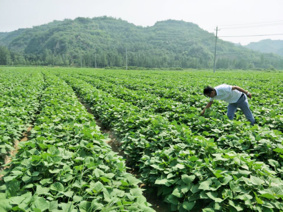 ��ҳ| PG������Ϸ�й����ٷ���վ