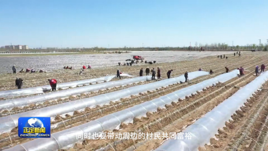 ��ҳ| PG������Ϸ�й����ٷ���վ