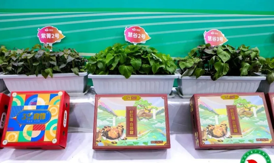 ��ҳ| PG������Ϸ�й����ٷ���վ