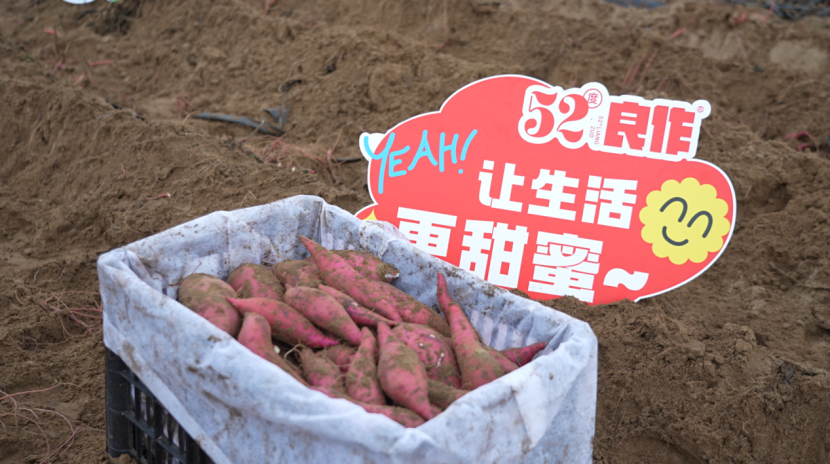 ��ҳ| PG������Ϸ�й����ٷ���վ