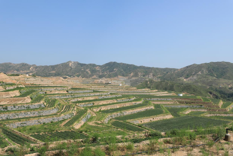 ��ҳ| PG������Ϸ�й����ٷ���վ