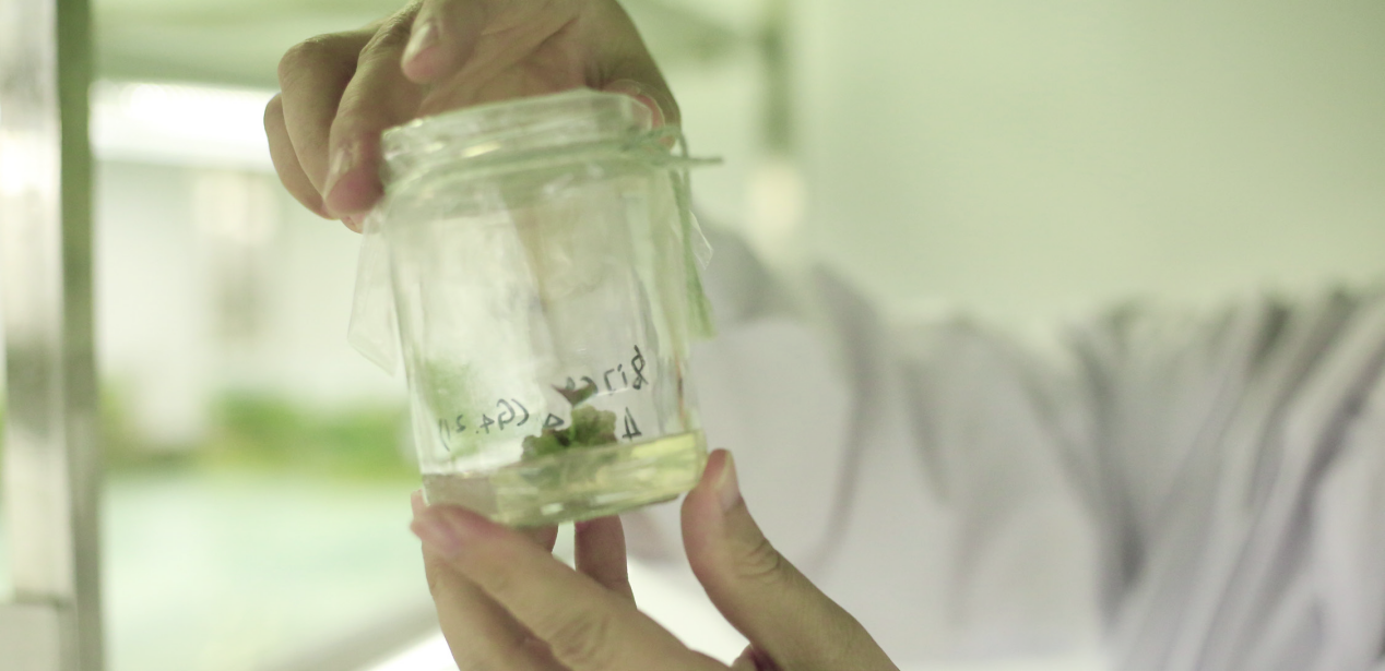 ��ҳ| PG������Ϸ�й����ٷ���վ