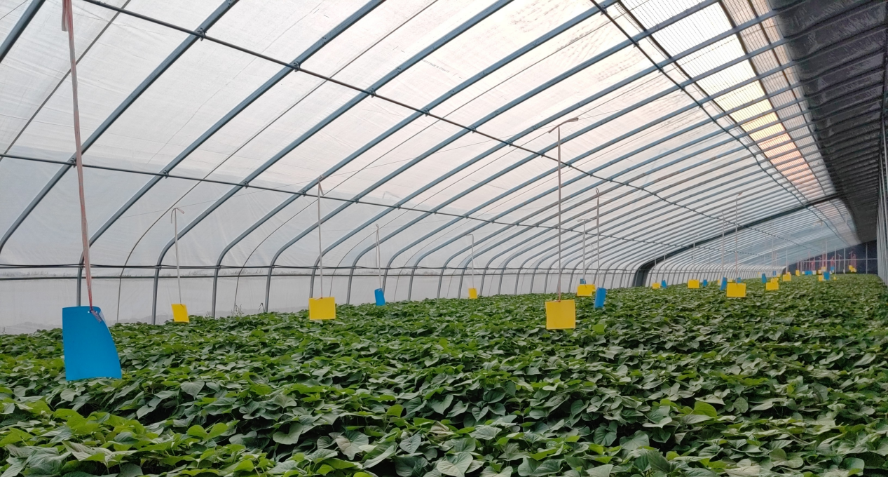 ��ҳ| PG������Ϸ�й����ٷ���վ