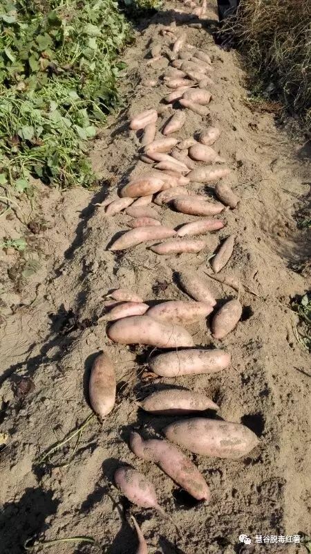 ��ҳ| PG������Ϸ�й����ٷ���վ