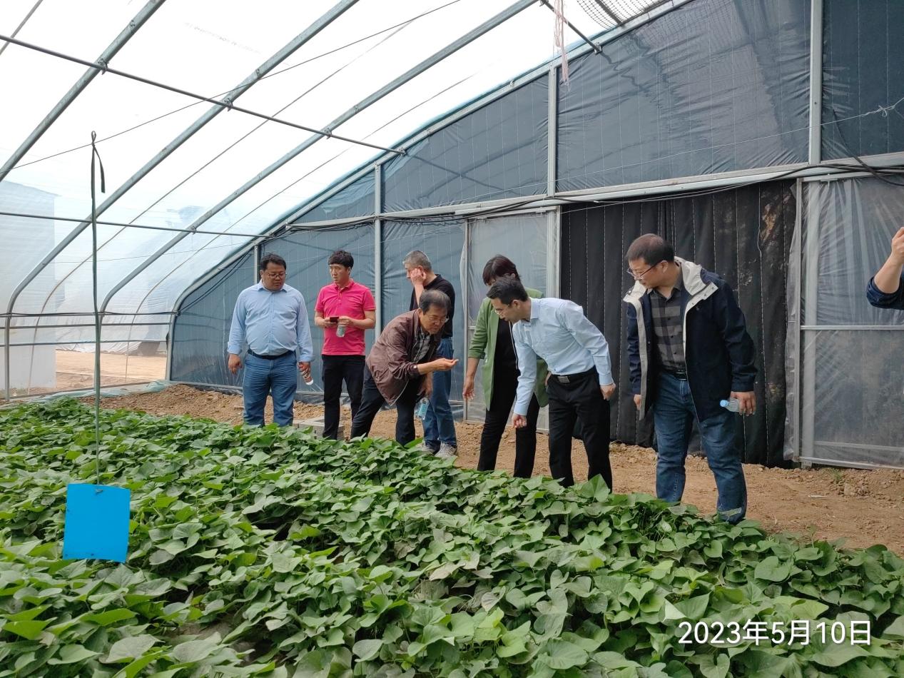 ��ҳ| PG������Ϸ�й����ٷ���վ