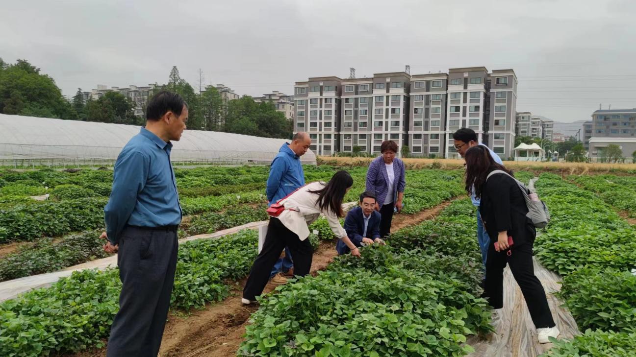 ��ҳ| PG������Ϸ�й����ٷ���վ