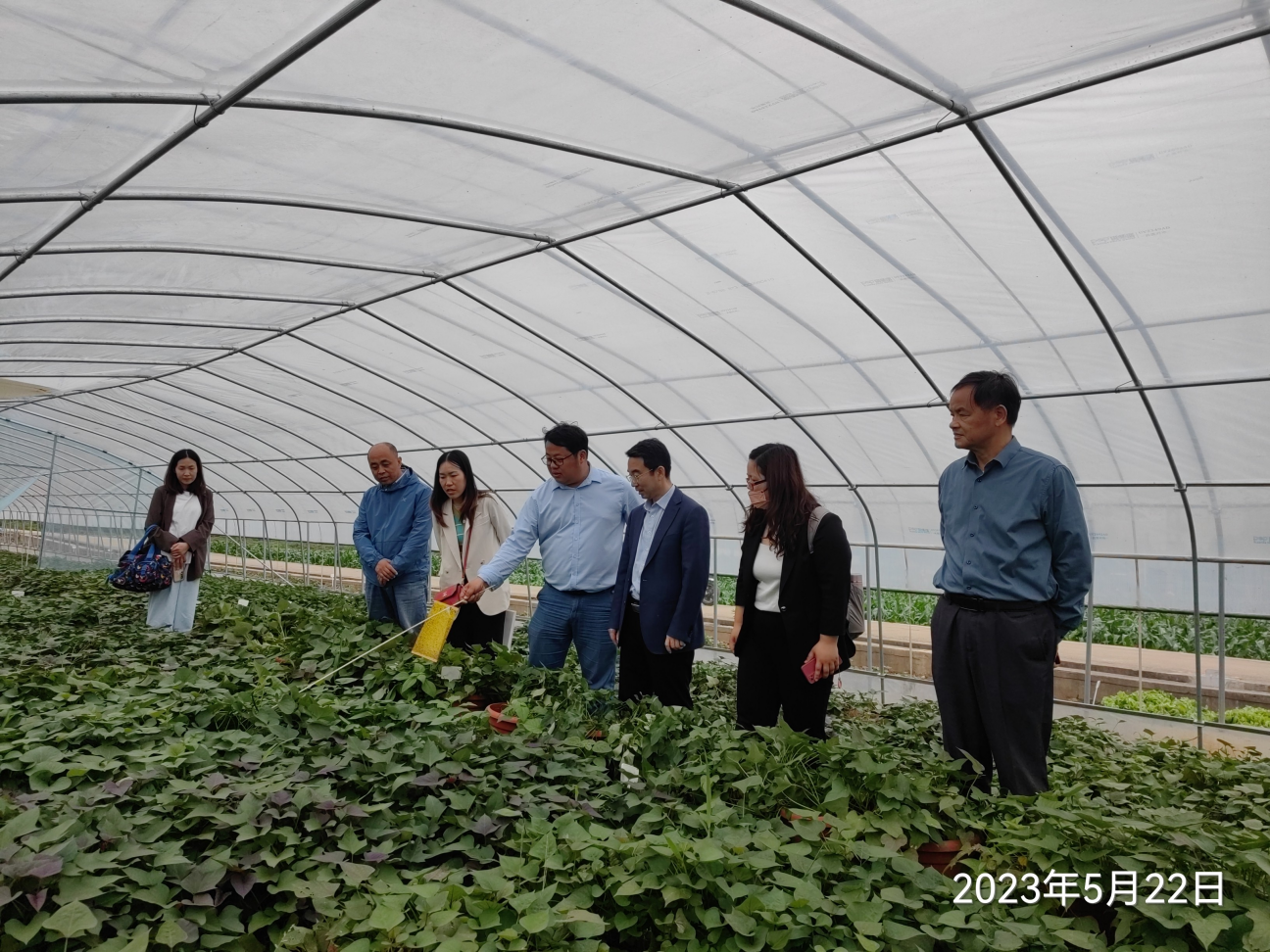 ��ҳ| PG������Ϸ�й����ٷ���վ